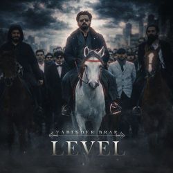 Level