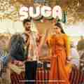 Suga
