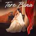 Tere Bina