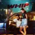 Whip - Baaghi