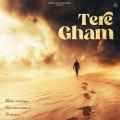 Tere Gham