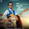 Tere Bin - Davinder Kohinoor