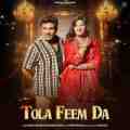 TOLA FEEM DA