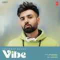Vibe - Amninder Bugga