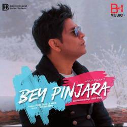 Bey Pinjara - Ankit Tiwari