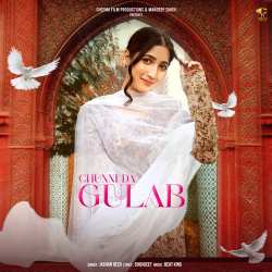 Chunni Da Gulab - Jashan Heer