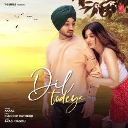Dil Todeya - Akaal