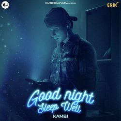 Good Night Sleep Well - Kambi Rajpuria