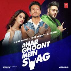 Har Ghoont Mein Swag - Badshah