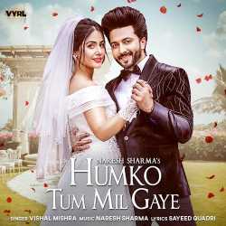 Humko Tum Mil Gaye - Naresh Sharma