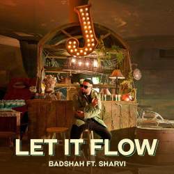 If You Feel My Vibe And Let It Flow - Badshah