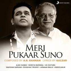 Meri Pukaar Suno - Gulzar