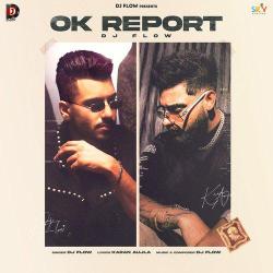 Ok Report - Dj Flow