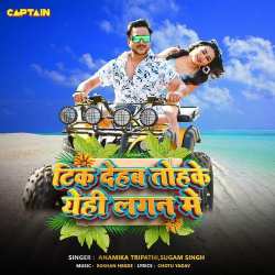 Tik Dehab Tohake Yehee Lagan Main - Anamika Tripathi