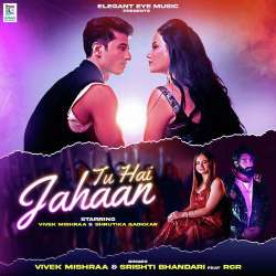 Tu Hai Jahaan - Vivek Mishraa